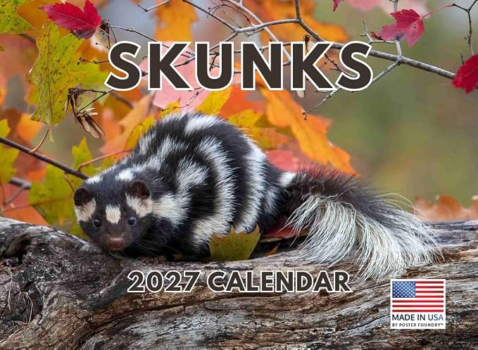 Skunk Calendar 2027 Monthly Wall Calender 12 Month