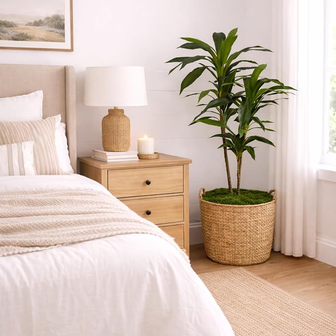 Nearly Natural 48 in Artificial Dracaena Real Touch Plant with Pot | Multi-Tonal Trunks, Large Indoor Silk Plant, Maintenance-Free, Living Room and Home Office Decor