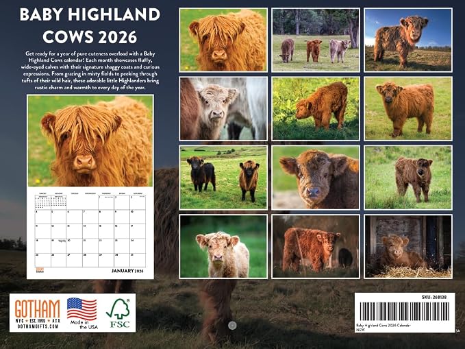 Baby Highland Cow Calendar 2026 Wall Cows Gifts For Cow Lovers Monthly Calender 12 Month | American Made In The USA