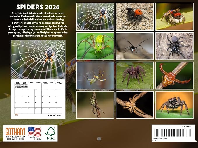 Spider Calendar 2026 Spiders Monthly Wall Calender 12 Month | American Made In The USA