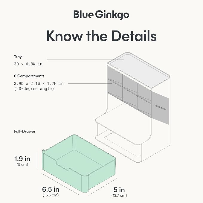 BLUE GINKGO Hive Pen Desk Organizer, Blue, Made in Korea | 6 Compartments. Full Drawer. Everyday Storage.
