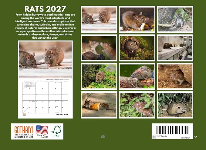 Rat Calendar 2027 Monthly Wall Calender 12 Month