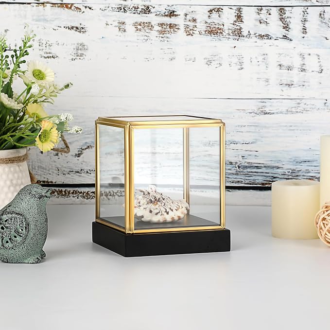 Hipiwe Clear Glass Display Box Case for Collectibles with Black Wood Base | Vintage Gold Display Case for Plants Action Figurine Models Keepsake Boxes, Square, 3.3x3.3x3.6 Inch