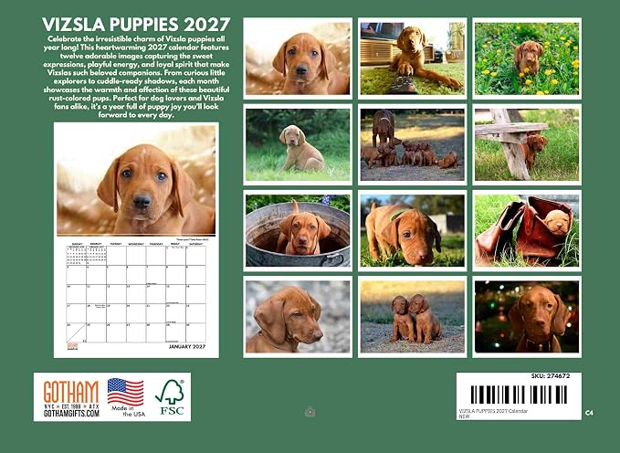Vizsla Calendar 2027 Puppies Monthly Wall Calender 12 Month