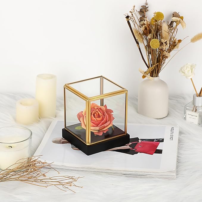 Hipiwe Clear Glass Display Box Case for Collectibles with Black Wood Base | Vintage Gold Display Case for Plants Action Figurine Models Keepsake Boxes, Square, 3.3x3.3x3.6 Inch