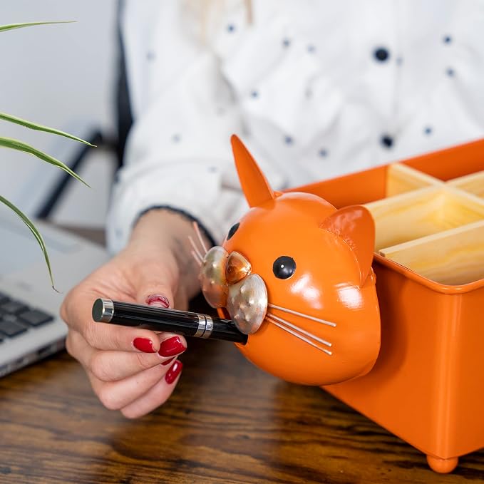 Desk Organizer, 1-5 Module Compartments - Storage for Stationery Supplies, Accessories, brushes - Home, Office, School, Dorm, Studio - Build in Pen & Pencil Holder (Orange Cat)
