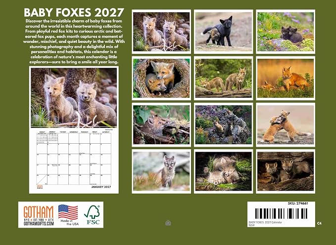 Baby Fox Calendar 2027 Monthly Wall Calender 12 Month