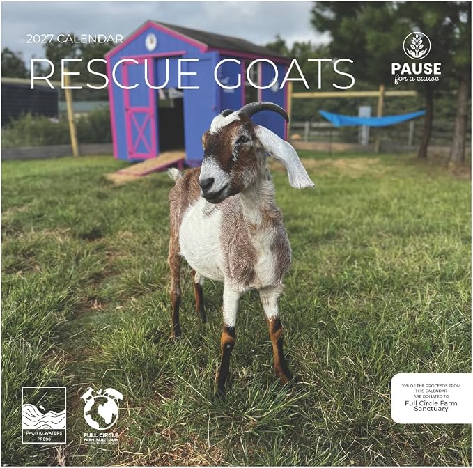 Rescue Goats 2027 Wall Calendar, 12 x 24 Hanging Pacific Waters Press