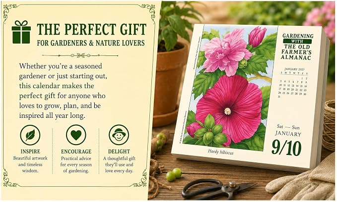 The Old Farmer's Almanac 2027 Daily Desk Calendar: Boxed Page-a-Day Gardening Calendar with Day-to-Day Tips, Folklore, Advice & Planting Secrets
