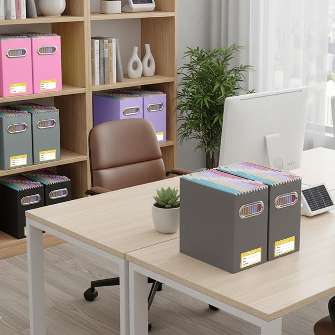 BALEINE 1PK File Organizer Box, Cardboard File Folder Organizer with Handle | Strong Corrugated Paper Core, Label Stickers for Identification, Hanging File Folder Organizer, Home Office Document Storage