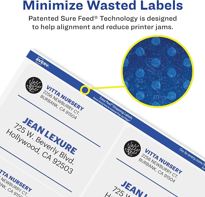 Avery® Matte Frosted Clear Address Labels for Inkjet Printers, 3-1/3" x 4", 60 Labels, 5 Packs (18664)