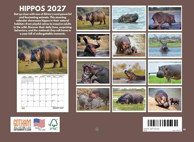 Hippo Calendar 2027 Hippopotamus Hippos Monthly Wall Calender 12 Month