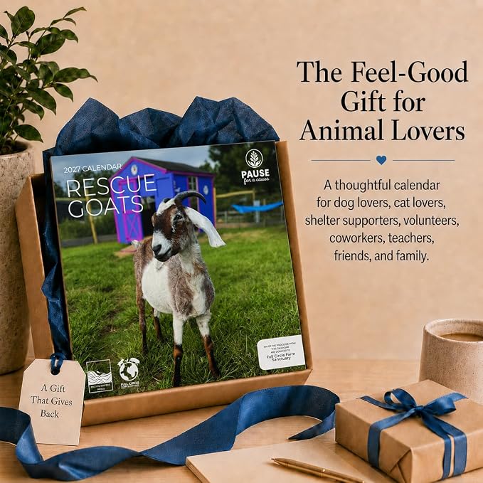 Rescue Goats 2027 Wall Calendar, 12 x 24 Hanging Pacific Waters Press