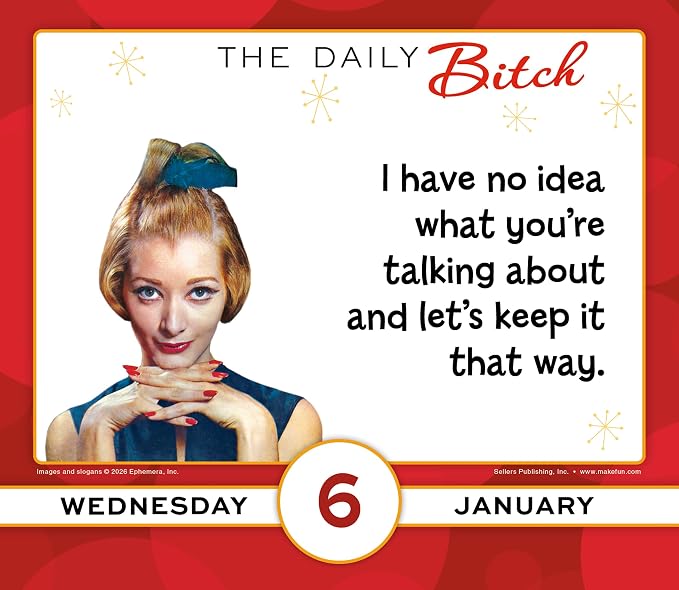 The Daily B 2027 Daily Desk Calendar: Boxed Page-a-Day Humor Calendar with Sarcastic Quotes, Bold Attitude & Snarky Sayings