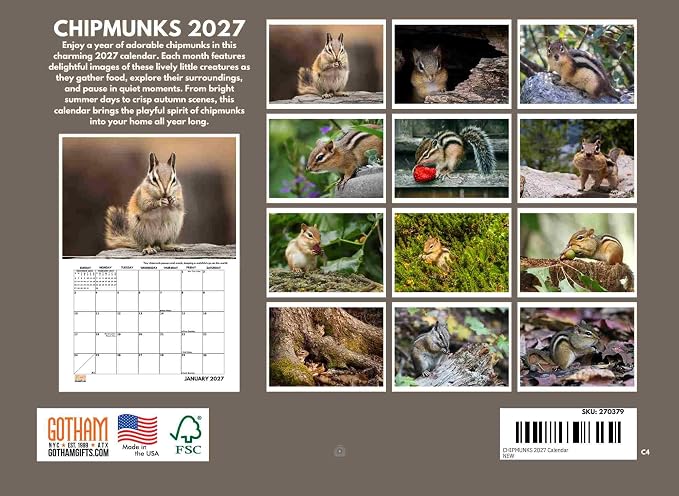 Chipmunk Calendar 2027 Monthly Wall Calender 12 Month