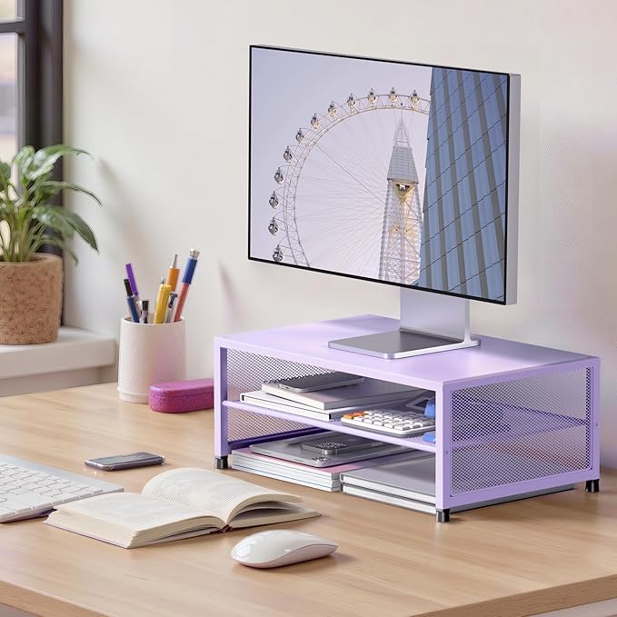 ECOLOVI 2-Tier Computer Monitor Stand Riser, Printer & Laptop Stand, Office Desk Accessories, Workspace Desk Organizer for Home Office Supplies, Purple