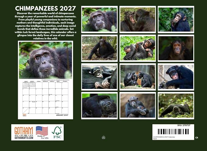 Chimpanzee Calendar 2027 Monthly Wall Calender 12 Month