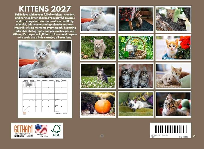 Kitten Calendar 2027 Cat Kitty Gifts Monthly Wall Calender 12 Month