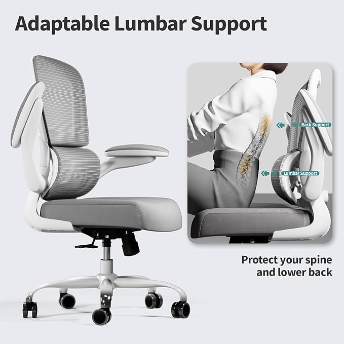 TRALT Office Chair - Ergonomic Desk Chair with Adjustable Lumbar Support, Mesh Computer Chair, Executive Chair for Home Office Comfortable Lumbar Support (1, Ash Gray)