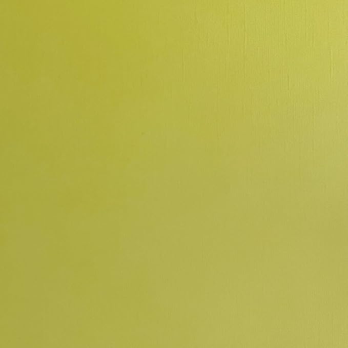 Lichen—12x12 Textured Cardstock | 80lb Textured Green - Yellow Scrapbook Paper | Premium Cardstock for Cricut Cutting | 25 Sheets