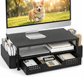 ECOLOVI Desk Organizer and Accessories, 2-Tier Computer Monitor Stand Rise with Storage Drawer & 2 Pen Holders, Laptop & Printer Stand for Desktop, Workspace Organizers for Office Supplies (Black Wood)