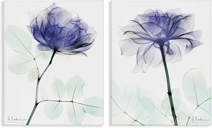 Stupell Industries Purple Rose Floral, 16 x 20 Inch Canvas Wall Art Set | Stupell Industries · By Albert Koetsier · Ready to hang · Elegant floral decor for living room or bedroom · Made in USA