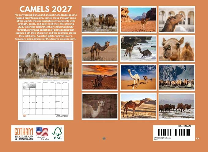 Camel Calendar 2027 Monthly Wall Calender 12 Month