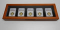 GuardHouse Glass Top Wooden Box for Five Slabs