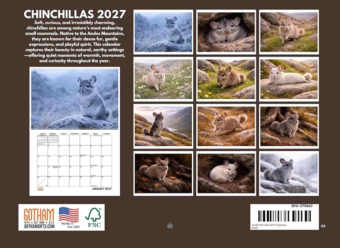 Chinchilla Calendar 2027 Monthly Wall Calender 12 Month