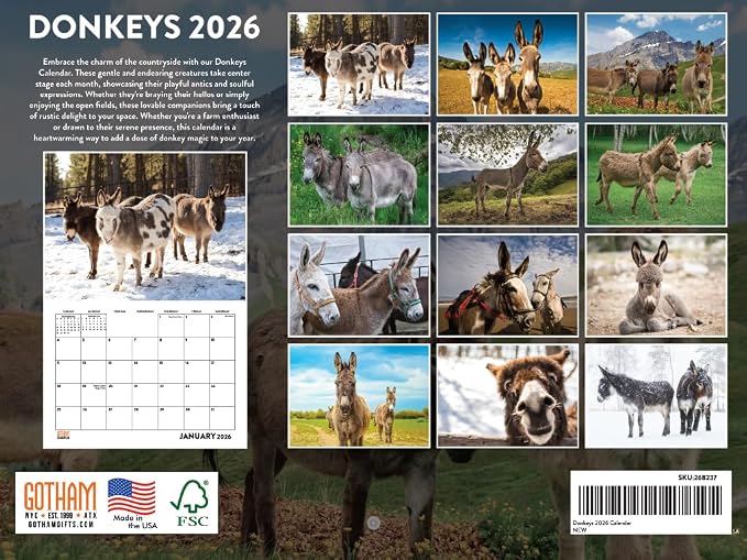 Donkey Calendar 2026 Monthly Wall Calender 12 Month | American Made In The USA