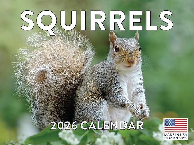 Squirrel Calendar 2026 Wall 12 Month Squirrels Gifts For Squirrel Lovers Women Men Monthly Calender| American Made In The USA