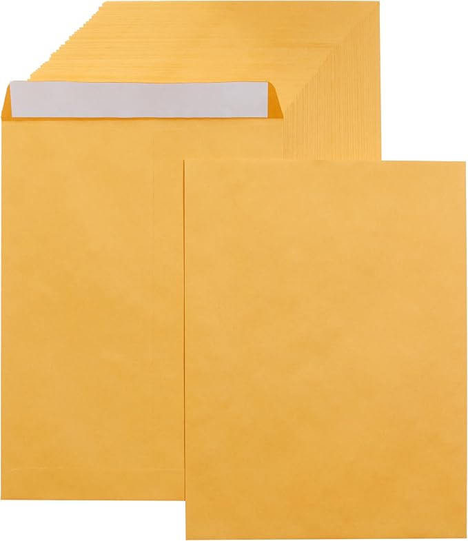 Amazon Basics Catalog Self Seal Mailing Envelopes for Documents, Peel and Seal, 9" x 12", Brown Kraft, 250-Pack