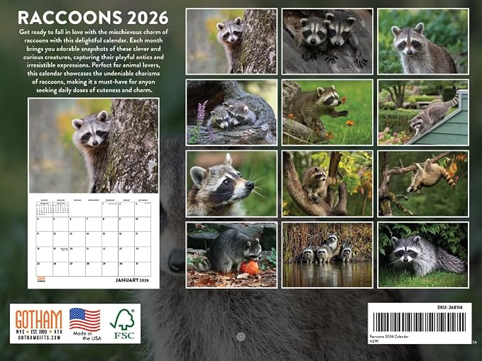 Raccoon Calendar 2026 Wall 12 Month Raccoons Gifts For Racoon Lovers Women Men Monthly Calender | American Made In The USA