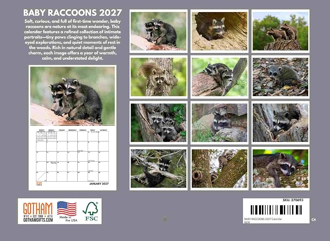 Cute Baby Raccoon Calendar 2027 Monthly Wall Calender 12 Month