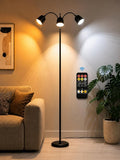 1700K Ultra-Warm 3-Head Floor Lamp, 80.7" Tall Standing Lamp with Stepless 1700K-6000K Color Temperature and Brightness, Individually Controlled Lights, Remote, Timer & Memory for Living Room Bedroom
