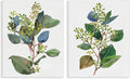 'Soft Eucalyptus Plant Ombre Leaves'| 2pc Canvas Art Set 2 | Stupell Industries | 16 x 20 Inches, Easy to Hang and Sturdy, Made in USA, by Melissa Wang