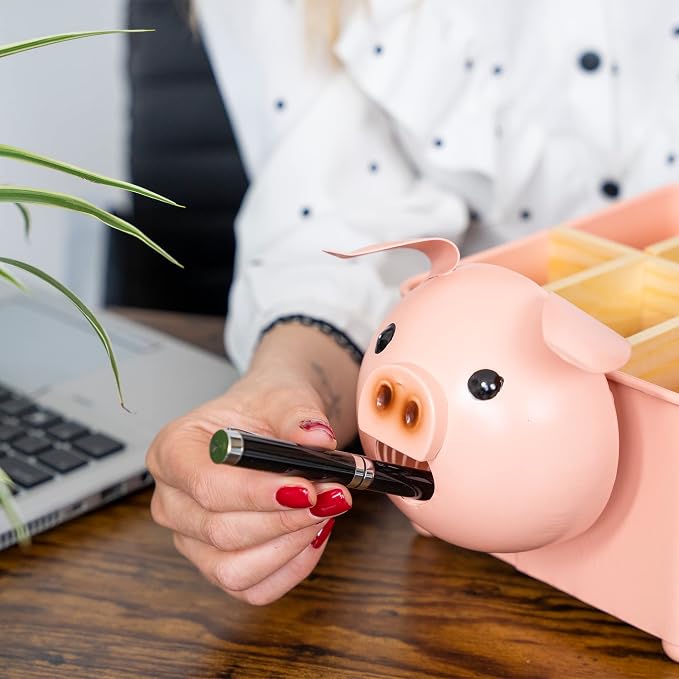Desk Organizer, 1-5 Module Compartments - Storage for Stationery Supplies, Accessories, brushes - Home, Office, School, Dorm, Studio - Build in Pen & Pencil Holder (Pink Pig)