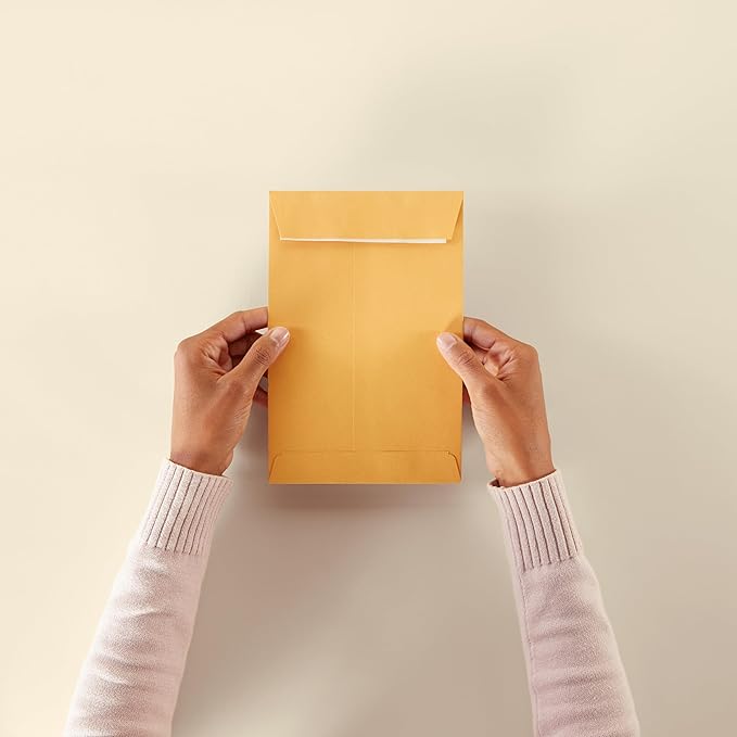 Amazon Basics Self Seal Catalog Envelopes for Business Mailing, Peel and Seal, 6" x 9", Brown Kraft, 100-Pack
