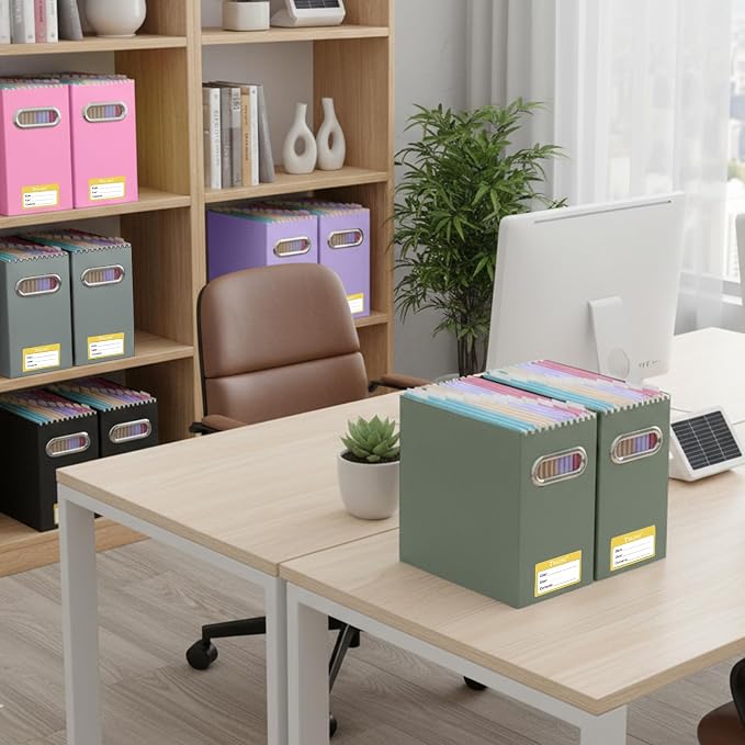 BALEINE 1PK File Organizer Box, Cardboard File Folder Organizer with Handle | Strong Corrugated Paper Core, Label Stickers for Identification, Hanging File Folder Organizer, Home Office Document Storage