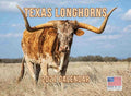 Texas Longhorn Wall Calendar 2027 Cattle Monthly