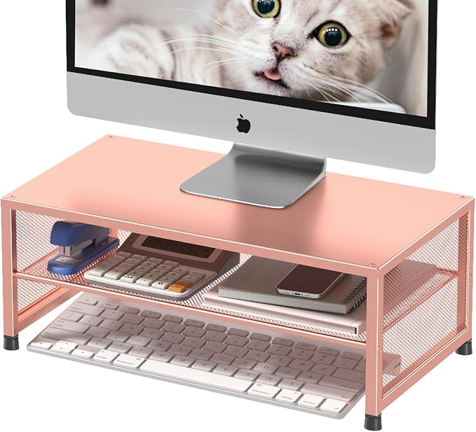 ECOLOVI 2-Tier Computer Monitor Stand Riser, Printer & Laptop Stand, Office Desk Accessories, Workspace Desk Organizer for Home Office Supplies, Rose