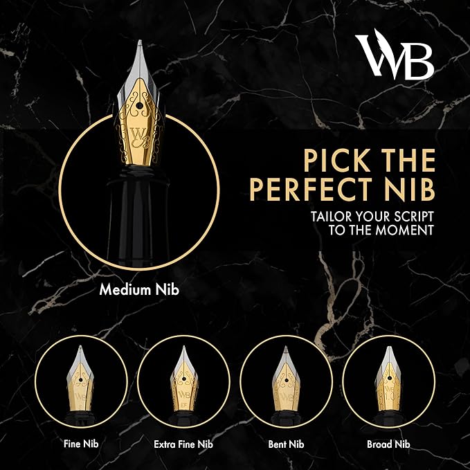 Wordsworth & Black Fountain Pen Set, Fine Nib, Includes 24 Pack Ink Cartridges, Ink Refill Converter & Gift Box, Chrome Finish Finish, Calligraphy, [Silver Chrome], Perfect for Men & Women