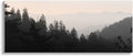 Stupell Industries Woodland Forest Silhouette, 17 x 40 Inch Canvas Wall Art | Stupell Industries · By Lori Deiter · Ready to hang · Nature inspired decor for living room · office · or hallway