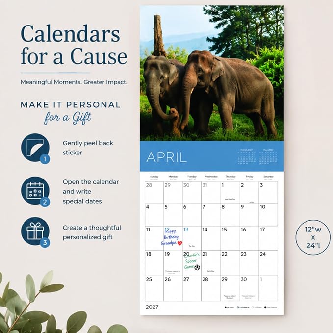 Rescue Goats 2027 Wall Calendar, 12 x 24 Hanging Pacific Waters Press