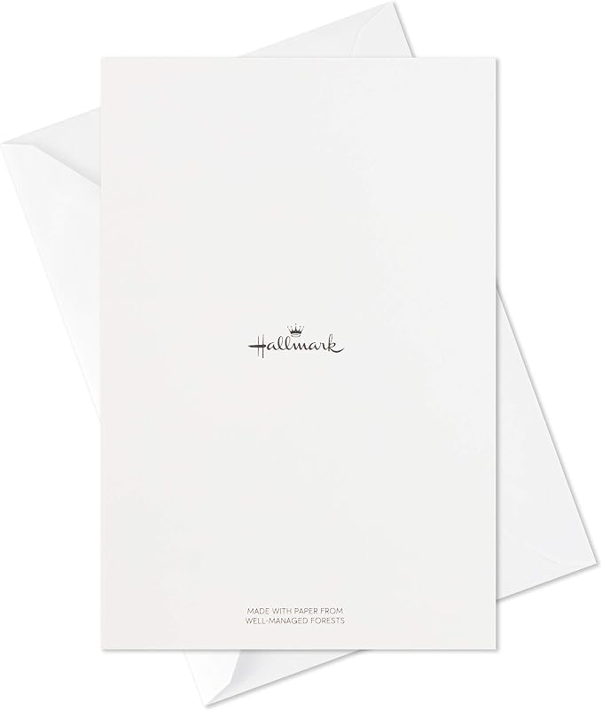 Hallmark Boxed Christmas Cards Assortment, Merriest Christmas (6 Designs, 24 Cards with Envelopes)