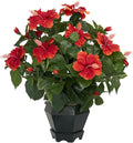 Nearly Natural Artificial Hibiscus with Hexagon Vase Flower Arrangement | Vibrant Multicolor Accents, Maintenance-Free, Black Hexagon Vase Included, Perfect for Home or Office Tabletop Decor