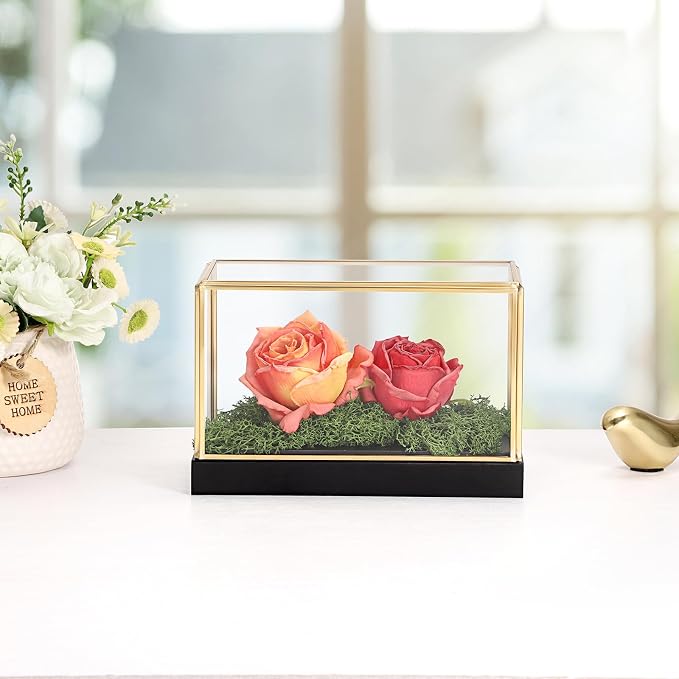 Hipiwe Glass Display Case for Collectibles Vintage Gold Display Case Box | Rectangular Glass Box for Figurine Models Plants Metal Frame Keepsake Box with Black Wood Base, 7.5"x4"x5"