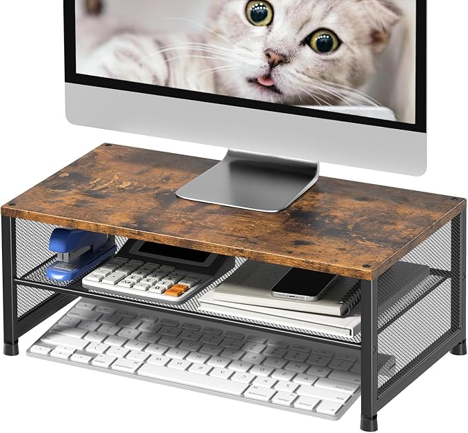 ECOLOVI 2-Tier Computer Monitor Stand Riser, Printer & Laptop Stand, Office Desk Accessories, Workspace Desk Organizer for Home Office Supplies, Brown