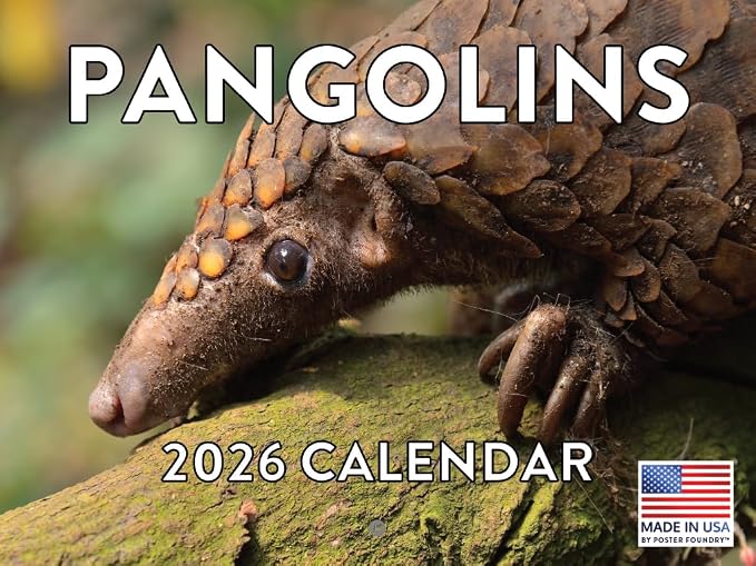 Pangolin Calendar 2026 Monthly Wall Calender 12 Month | American Made In The USA