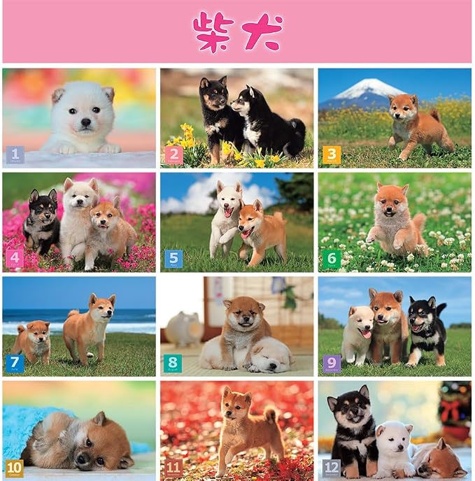 Shiba Inu Wall Calendar 2026-2027 Set, Cute Puppy Photos, Japanese Scenery